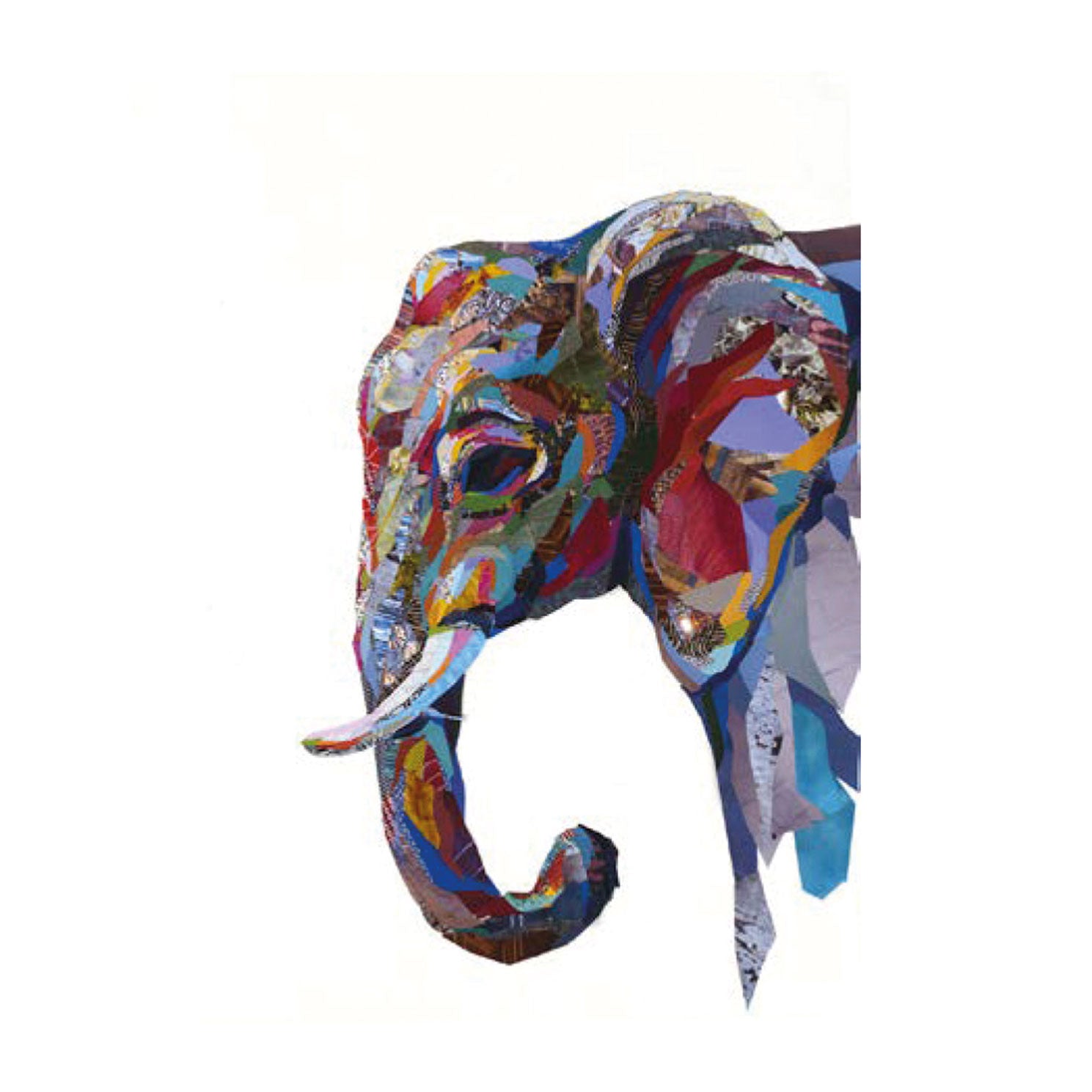 Zoe Mafham collage animale elefante a colori Cape Best